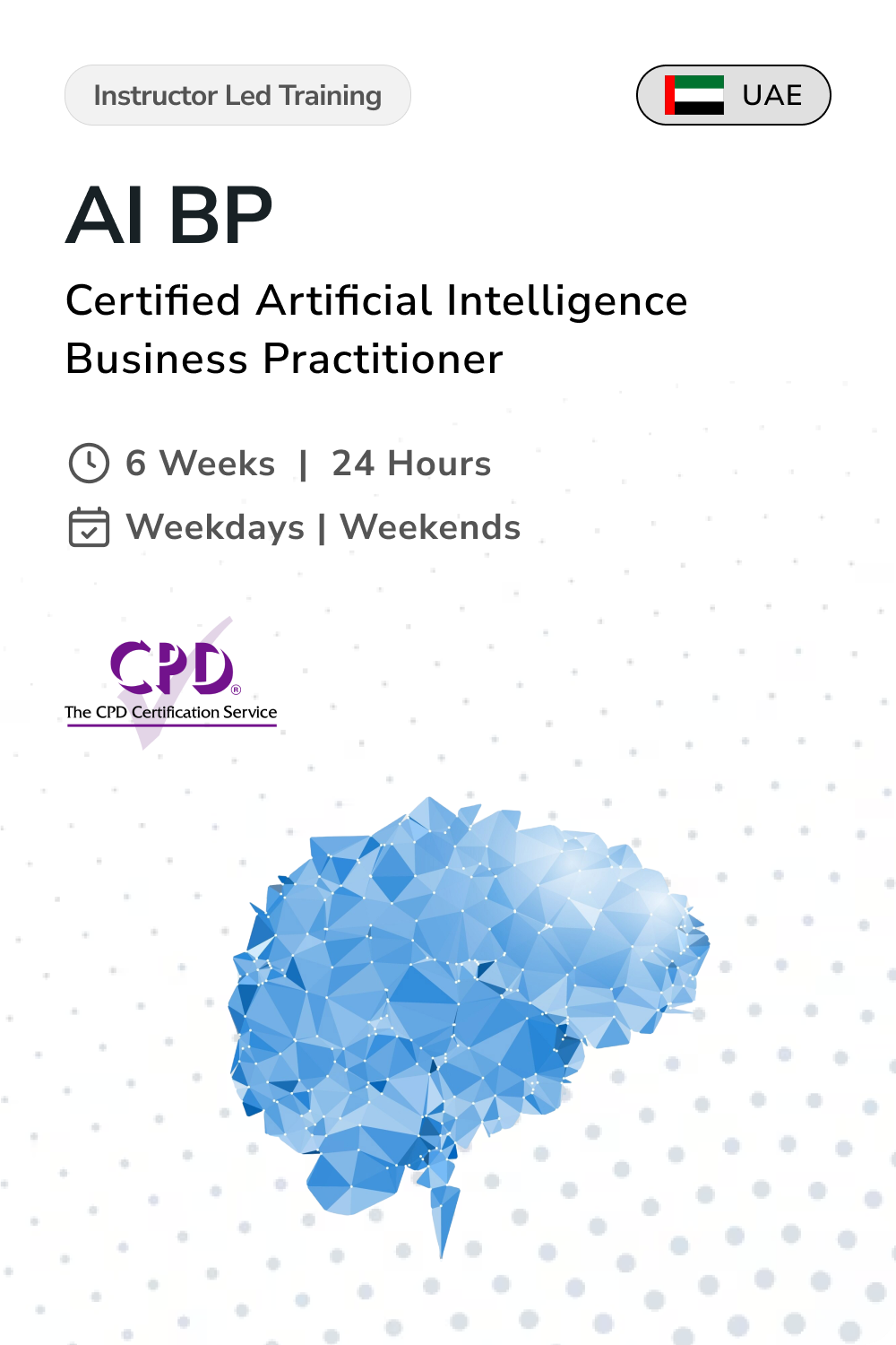 Microsoft Certified AI Business Practitioner  in United Arab Emirates